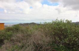 Piece of land