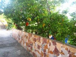 Commercial Property