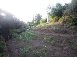 Commercial Property