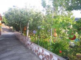 Commercial Property