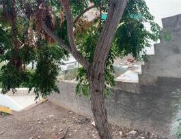 Piece of land