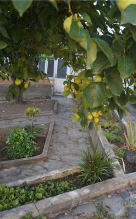 Semi detached house