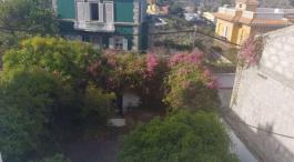 Semi detached house