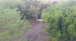 Semi detached house