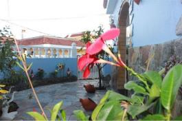 Semi detached house