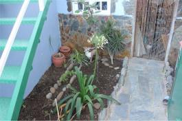 Semi detached house