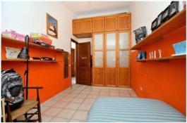 Intermediate house