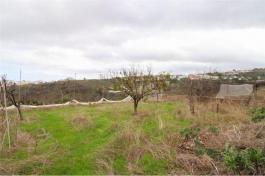 Commercial Property