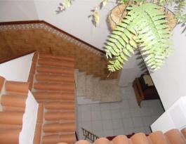 Intermediate house