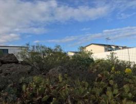 Terrenos