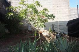 Commercial Property