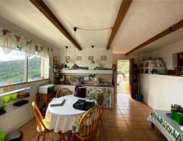 Semi detached house