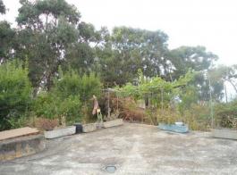 Semi detached house