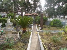 Semi detached house