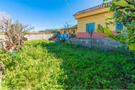 Semi detached house