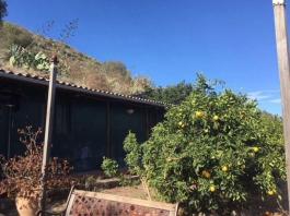 Semi detached house
