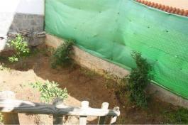 Semi detached house