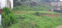 Terrenos