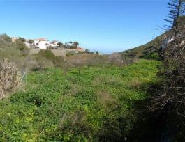 Terrenos
