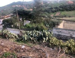 Terrenos