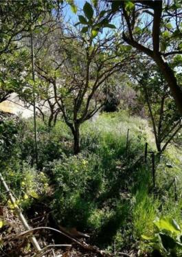 Chalet pareado