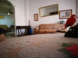 Semi detached house
