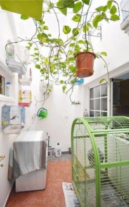 Semi detached house