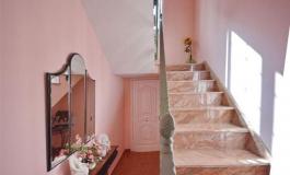 Semi detached house