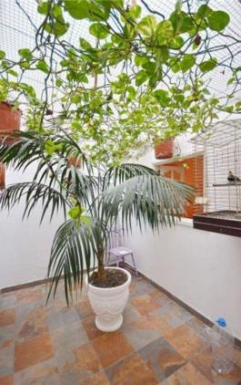 Semi detached house