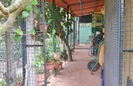 Casa Rústica
