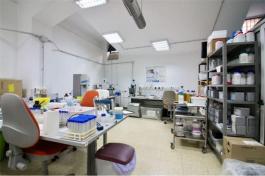Commercial Property