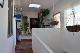 Semi detached house