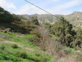 Terrenos