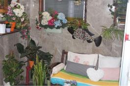 Semi detached house