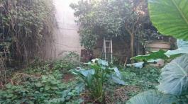 Commercial Property