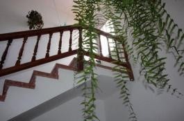 Semi detached house