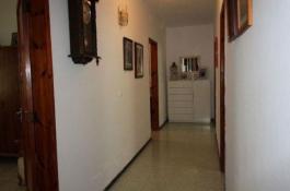 Semi detached house