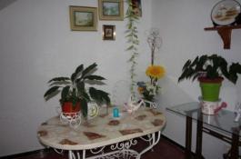 Semi detached house