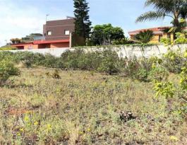 Commercial Property