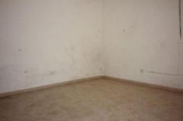 Propiedades Comercial