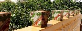 Chalet pareado