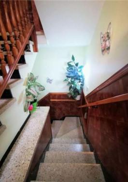 Chalet pareado