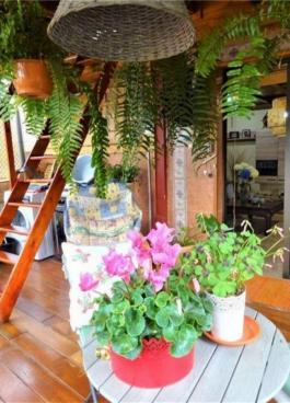 Chalet pareado