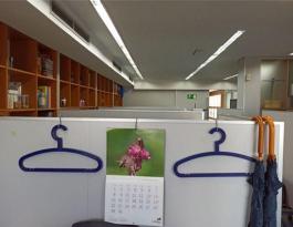 Commercial Property