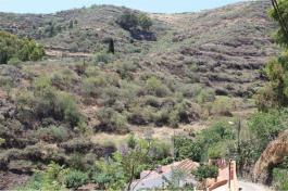 Terrenos