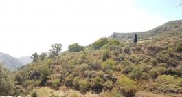 Terrenos