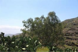 Terrenos