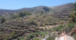 Terrenos