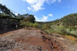Commercial Property