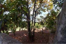 Commercial Property